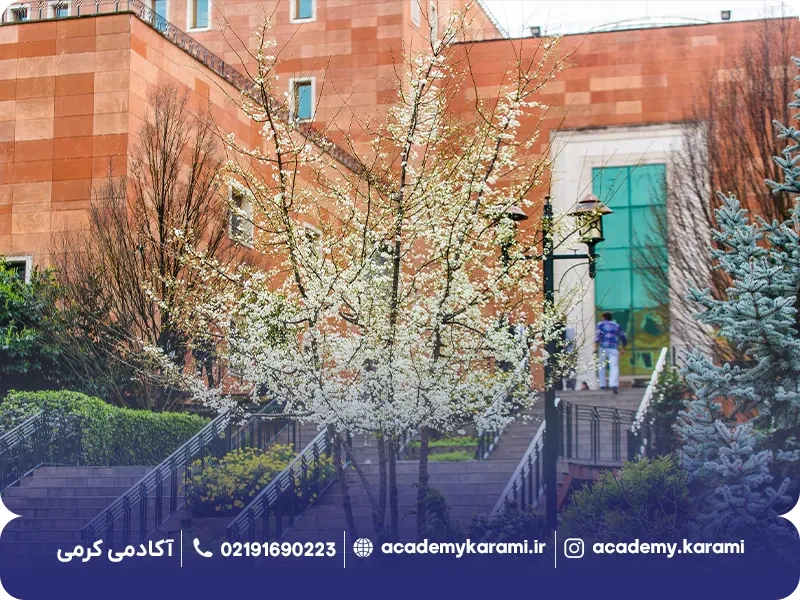 دانشگاه یدی تپه کجاست؟