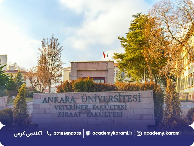 دانشگاه دولتی آنکارا