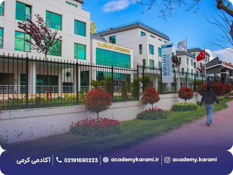 دانشگاه بیرونی