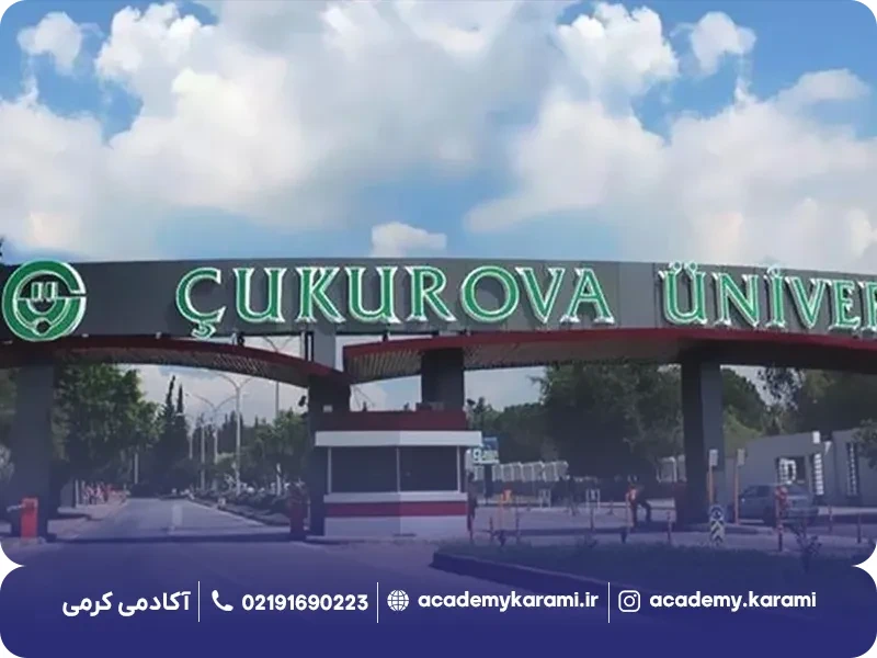 دانشگاه چوکوروا ترکیه